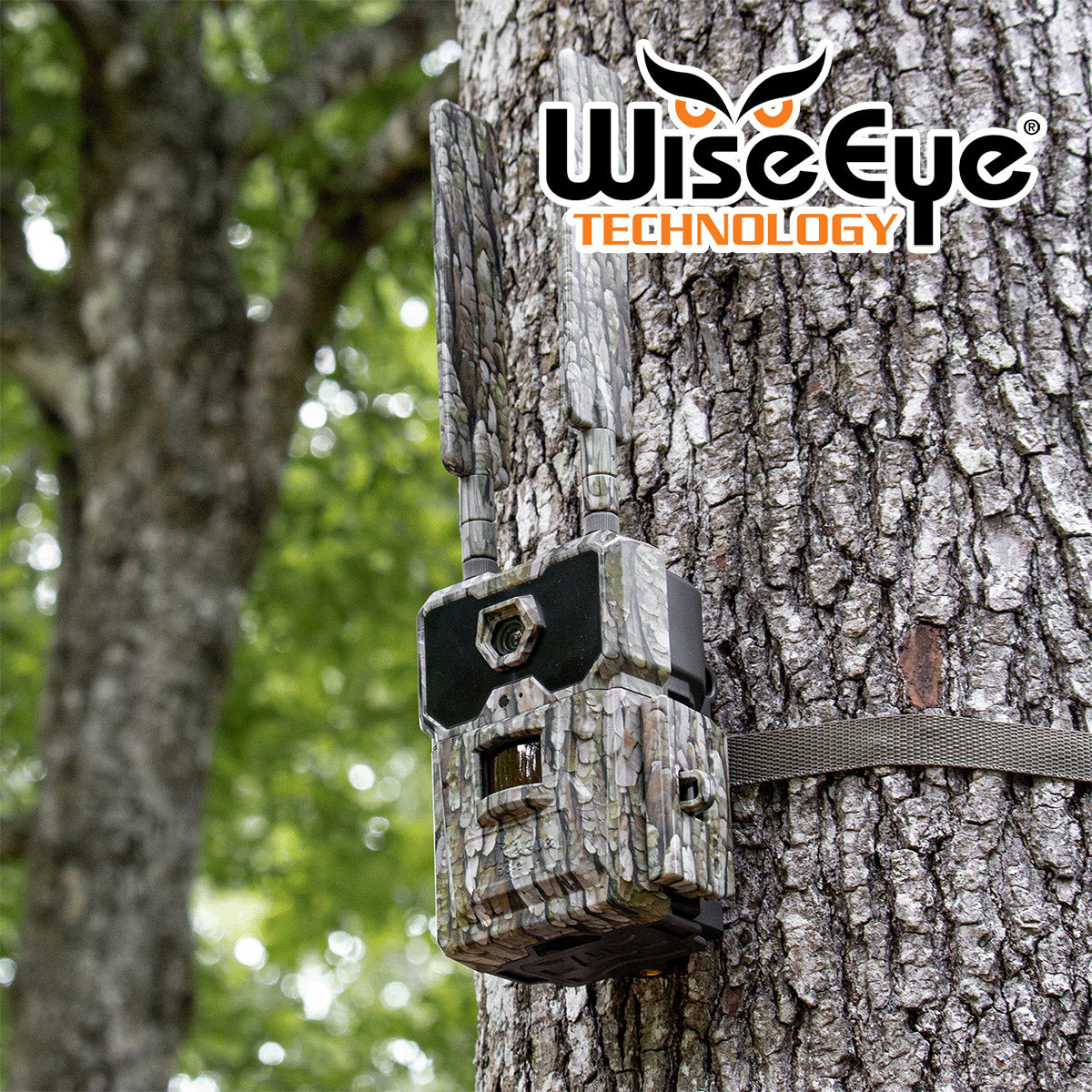 WiseEye DC2 Trail Camera
