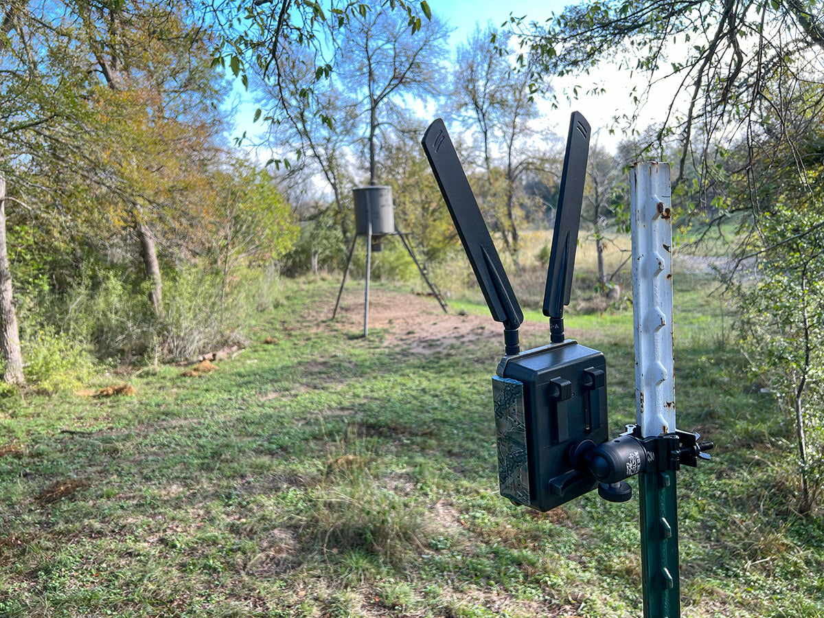 T-Post Trail Camera Mount